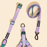 Daisy Harness