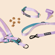 Daisy Leash