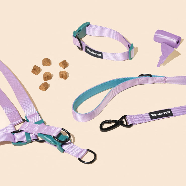 Daisy Leash