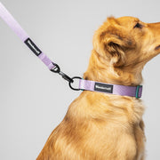 Daisy Leash
